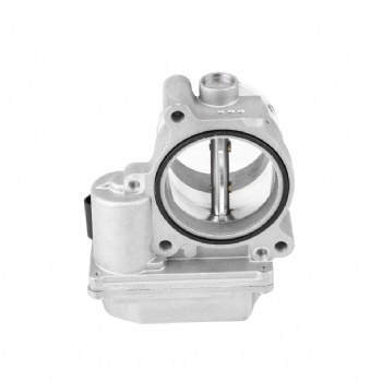 Throttle Body Assembly