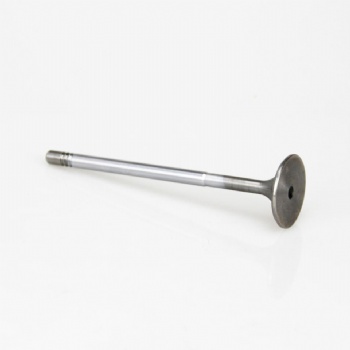 Air Intake & Exhaust Valve