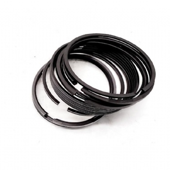 Piston Ring